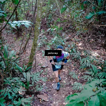 Runner Photo 5249411