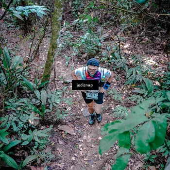 Runner Photo 5249414