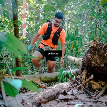 Runner Photo 5249466