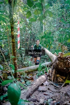 Runner Photo 5249486