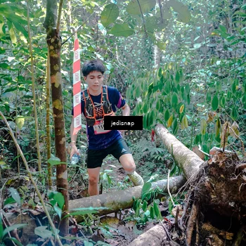 Runner Photo 5249601