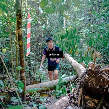 Runner Photo 5249604