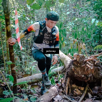 Runner Photo 5249631