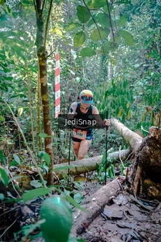 Runner Photo 5249705