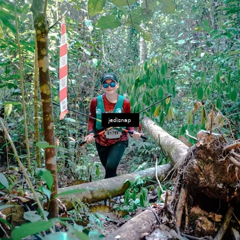 Runner Photo 5249769
