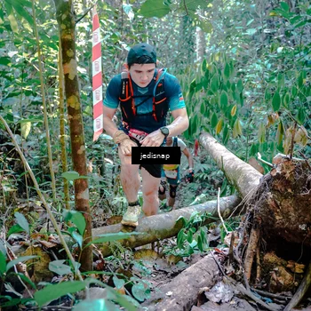 Runner Photo 5249783