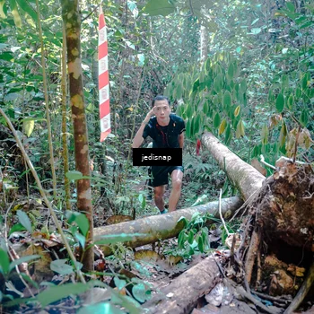 Runner Photo 5249814