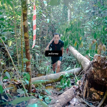 Runner Photo 5249815