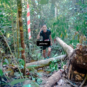 Runner Photo 5249818