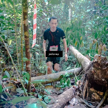 Runner Photo 5249820
