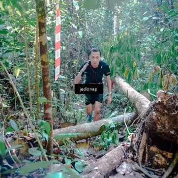 Runner Photo 5249824