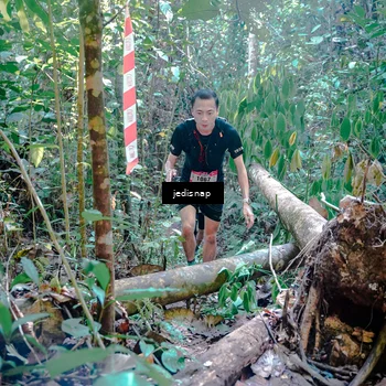 Runner Photo 5249827