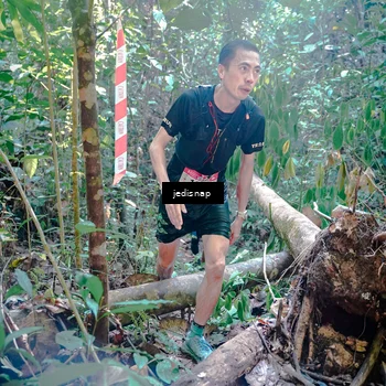 Runner Photo 5249830