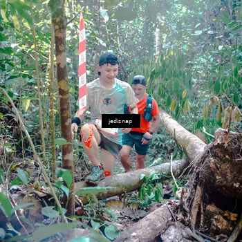 Runner Photo 5249851