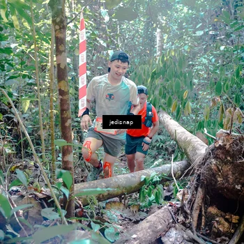 Runner Photo 5249854