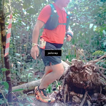 Runner Photo 5249870