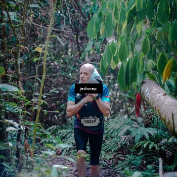 Runner Photo 5250011
