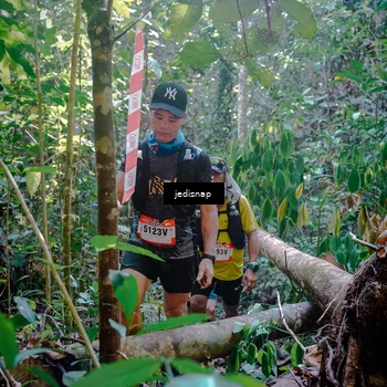 Runner Photo 5250051
