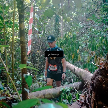 Runner Photo 5250054