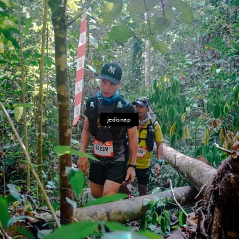 Runner Photo 5250055