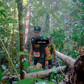 Runner Photo 5250056