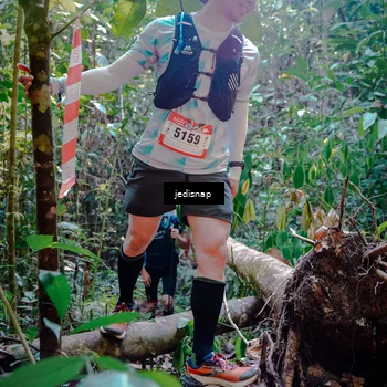 Runner Photo 5250123