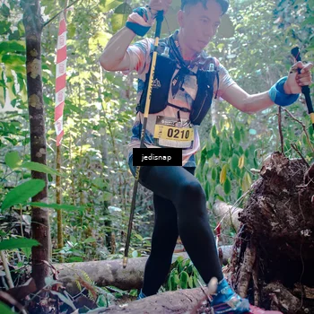 Runner Photo 5250135