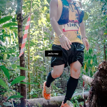 Runner Photo 5250151