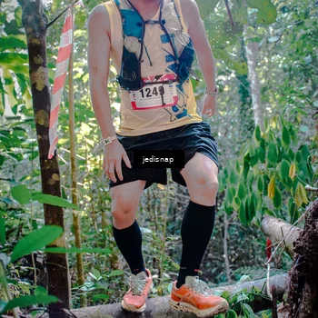 Runner Photo 5250152