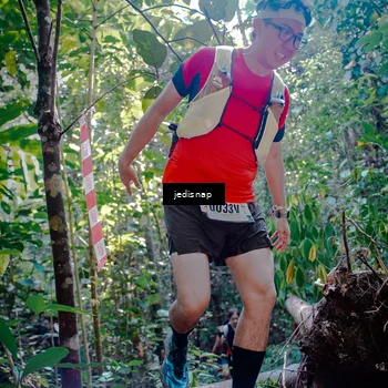 Runner Photo 5250270