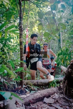 Runner Photo 5250360