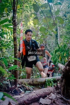 Runner Photo 5250365