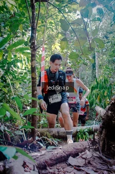 Runner Photo 5250369
