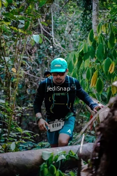 Runner Photo 5250388