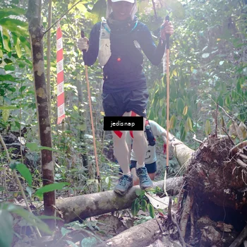 Runner Photo 5250546