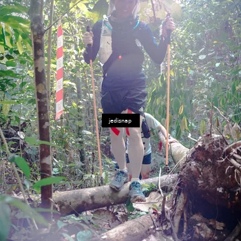 Runner Photo 5250550