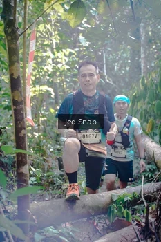 Runner Photo 5250586