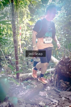 Runner Photo 5250593