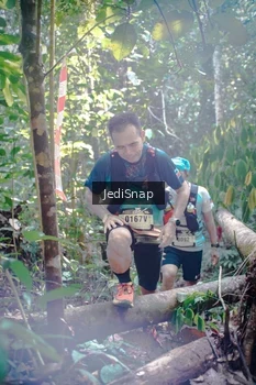 Runner Photo 5250603