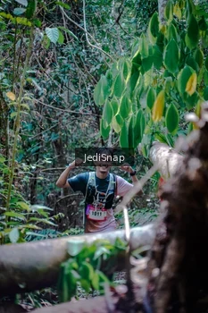 Runner Photo 5250856