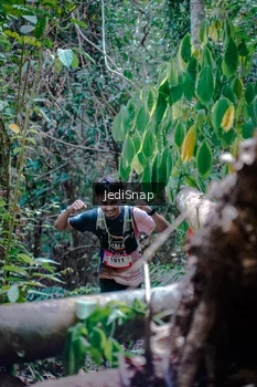 Runner Photo 5250862