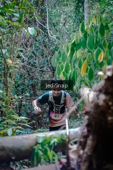 Runner Photo 5250863