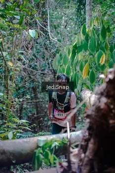 Runner Photo 5250865