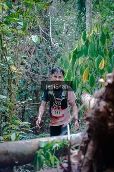 Runner Photo 5250866