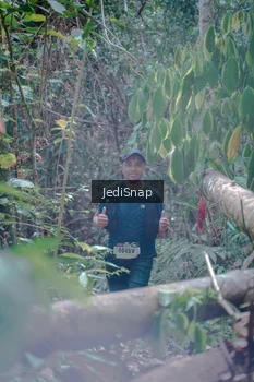 Runner Photo 5250929