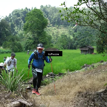 Runner Photo 5251505