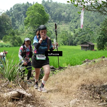 Runner Photo 5251865