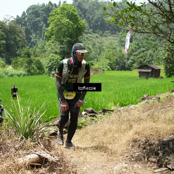 Runner Photo 5251884