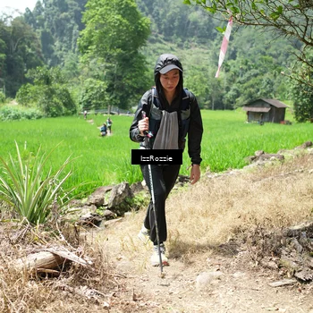 Runner Photo 5251886