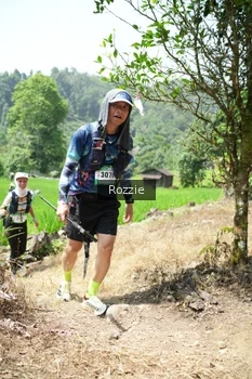 Runner Photo 5252343